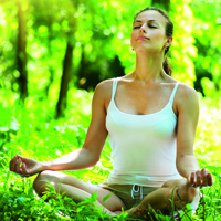 brainLight-Zusatzkarten für Komplett-Systeme mit Sesselsteuerung - Relaxen und Genießen - mit Massagefunktion