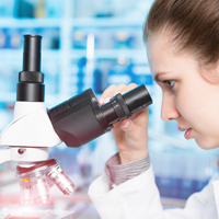 Presse & Info - Studien