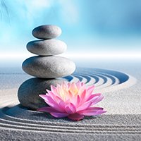 Das brainLight-Prinzip