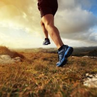 Business - Fitness & Sport